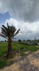 Project Image of 990.0 - 1800.0 Sq.ft Residential Plot Plot for buy in Atharv City