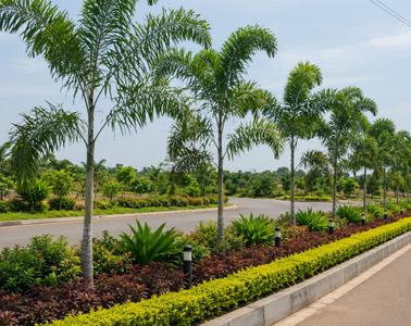 Project Image of 2700.0 - 10890.0 Sq.ft Residential Plot Plot for buy in Siyora Spring Fields