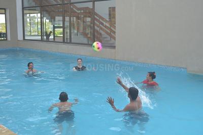 Serenity Meadows Swimming Pool 1
