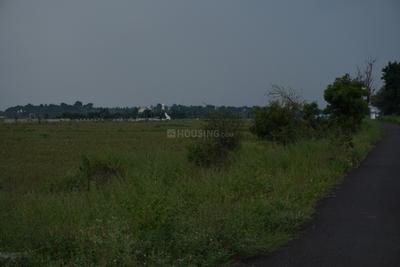 Project Image of 1205.56 - 7420.21 Sq.ft Residential Plot Plot for buy in 4 Pillars Central Cost City