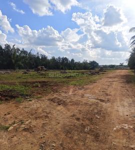 Project Image of 948.09 - 11621.47 Sq.ft Residential Plot Plot for buy in Ashwasurya Legacy