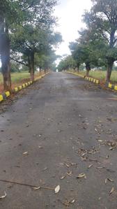 Project Image of 1800.0 - 3600.0 Sq.ft Residential Plot Plot for buy in CK Infini Breeze County