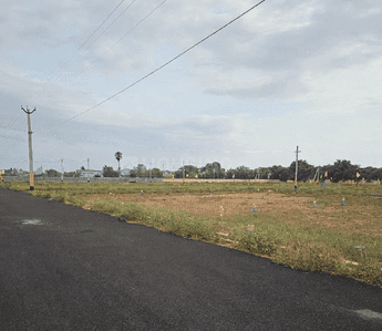 Project Images