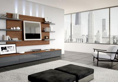 SLV Meadows Living Area 1