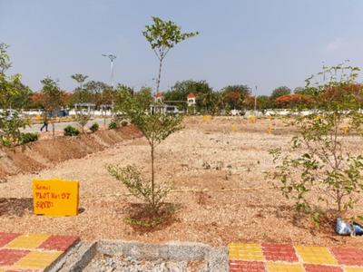 Project Image of 1335.0 - 3158.0 Sq.ft Residential Plot Plot for buy in Peram Aditya Jewel