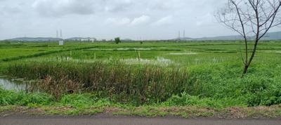 Project Image of 1000.0 - 10000.0 Sq.ft Residential Plot Plot for buy in Dream Land Plots In Chirle