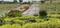 Siyora Spring Fields Internal Roads & Footpaths 2