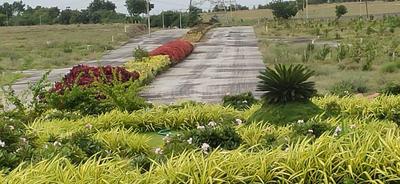 Siyora Spring Fields Internal Roads & Footpaths 2