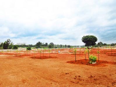 Project Image of 1200.0 - 1500.0 Sq.ft Residential Plot Plot for buy in Clear Green Valley Plots