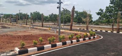 Project Image of 1088.0 - 2515.0 Sq.ft Residential Plot Plot for buy in R5 Sangamam