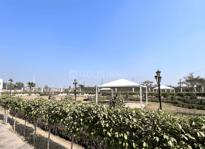 Project Image of 899.99 - 1350.0 Sq.ft Residential Plot Plot for buy in Zannat Zannat Estate
