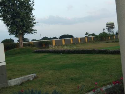 Shri Krishna Emerald Green Landscape Garden and Tree Planting 1