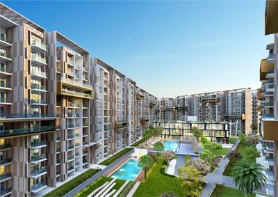 Vera Gold Mark Elevation 2