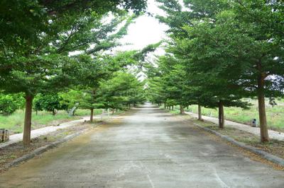 Project Image of 1500.0 - 2400.0 Sq.ft Residential Plot Plot for buy in NBR Trifecta