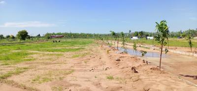 Project Image of 1503.0 - 5400.0 Sq.ft Residential Plot Plot for buy in Kalasapati Yadadri Smart City