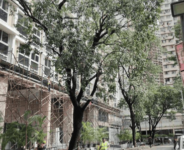 Project Image of 824.73 - 915.9 Sq.ft 3 BHK Apartment for buy in S D Aubburn Wing A