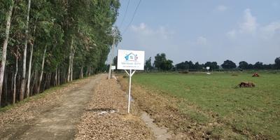 Project Image of 600.0 - 5000.0 Sq.ft Residential Plot Plot for buy in Unite Vision Vatican City