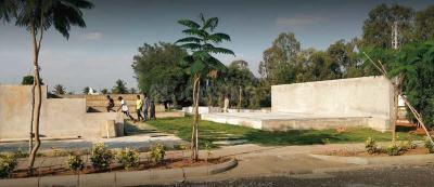 Project Images