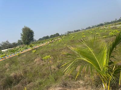 Project Image of 1089.0 - 5445.0 Sq.ft Residential Plot Plot for buy in Sahuri RRR Farms
