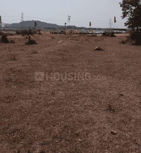 Project Image of 1323.0 - 4500.0 Sq.ft Residential Plot Plot for buy in AKs Future City
