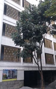 Project Image of 1370.0 - 1470.0 Sq.ft 3 BHK Apartment for buy in SSR Residency