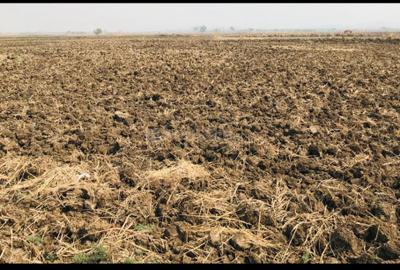 Project Image of 1000.0 - 10000.0 Sq.ft Residential Plot Plot for buy in Icon Chirle Lands