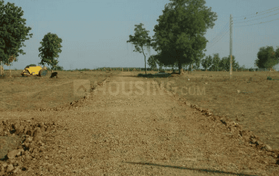 Oceanus Meadows Elevation 2