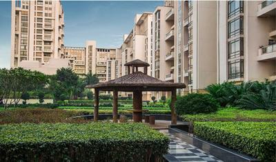 Project Image of 3670.0 - 12000.0 Sq.ft 3 BHK Apartment for buy in SS The Hibiscus