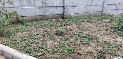 Avinash Pride  Plot 2