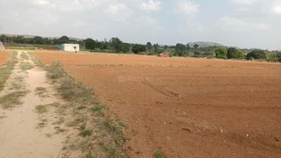 Plot Wale Belondekhar Plot 3