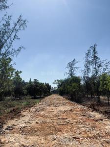 Project Image of 6000.0 - 12000.0 Sq.ft Residential Plot Plot for buy in Navile Farms 
