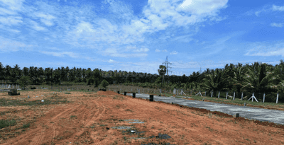 Project Images