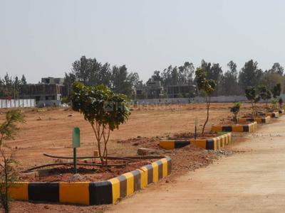 Project Image of 0.0 - 1200.0 Sq.ft Residential Plot Plot for buy in Peninsula Pine woods