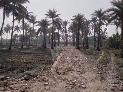 Project Image of 720.0 - 3600.0 Sq.ft Residential Plot Plot for buy in Lifespace The Address 005