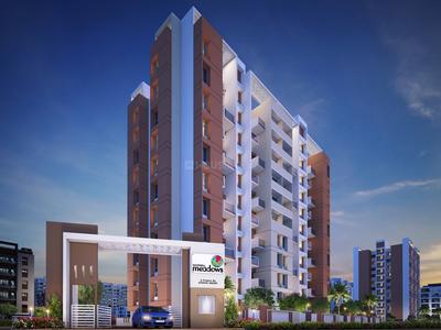 Project Image of 435.0 - 866.0 Sq.ft 1 BHK Apartment for buy in Choice Goodwill Meadows Phase 1