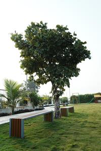 Project Image of 0.0 - 1302.0 Sq.ft Residential Plot Plot for buy in Karamchand Dream 1