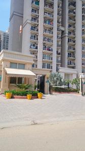 Project Image of 1240.0 - 2800.0 Sq.ft 2 BHK Apartment for buy in ATS Dolce