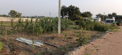 Project Image of 2178.0 - 5445.0 Sq.ft Residential Plot Plot for buy in Magma Balajis Water Front Farmlands