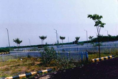 Project Image of 646.05 - 2149.98 Sq.ft Residential Plot Plot for buy in Fomra Magica