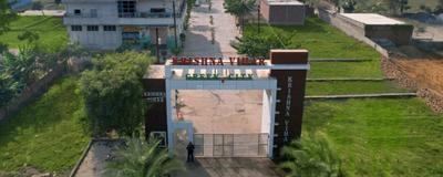 Project Image of 900.0 - 4500.0 Sq.ft Residential Plot Plot for buy in Krishna Vihar