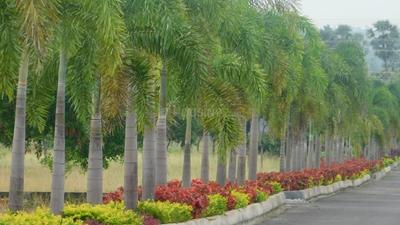 Project Image of 1548.0 - 1818.0 Sq.ft Residential Plot Plot for buy in Sunsiri Green Delight City