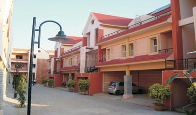 Daadys Daaliya Elevation 1