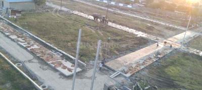 Project Images