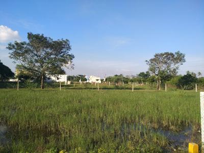 Project Image of 958.0 - 1162.0 Sq.ft Residential Plot Plot for buy in VGN Southern Meadows Phase IV