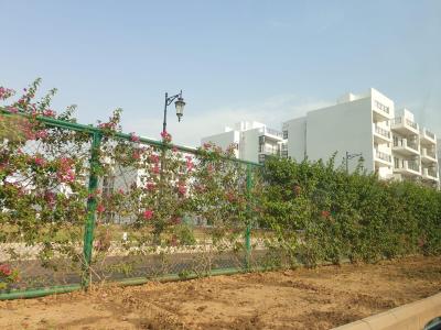 Project Image of 1588.75 - 148916.18 Sq.ft Residential Plot Plot for buy in Central Park Flower Valley Phase IV