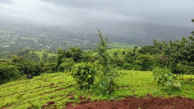 Project Image of 1000.0 - 10000.0 Sq.ft Residential Plot Plot for buy in Avani City Plots In Panvel