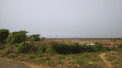 Project Image of 1000.0 - 10000.0 Sq.ft Residential Plot Plot for buy in Avani City Plots In Dronagiri