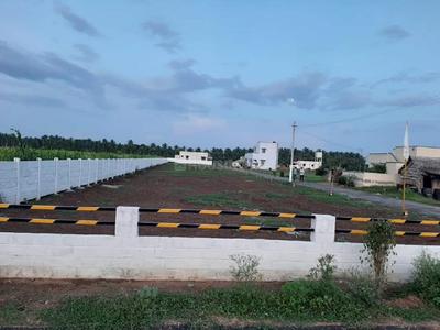 Archadius Kumaran Garden Landscape Garden and Tree Planting 1