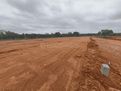Project Image of 878.34 - 2677.2 Sq.ft Residential Plot Plot for buy in Value Space Eternia