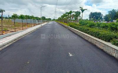 Gallery Cover Pic of Sterling Aster Meadows Phase 2